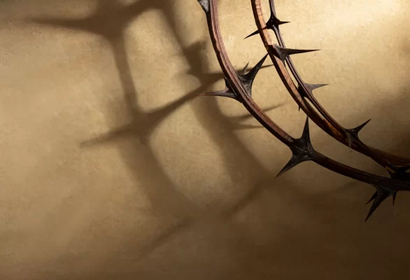 lac giao kito so khai